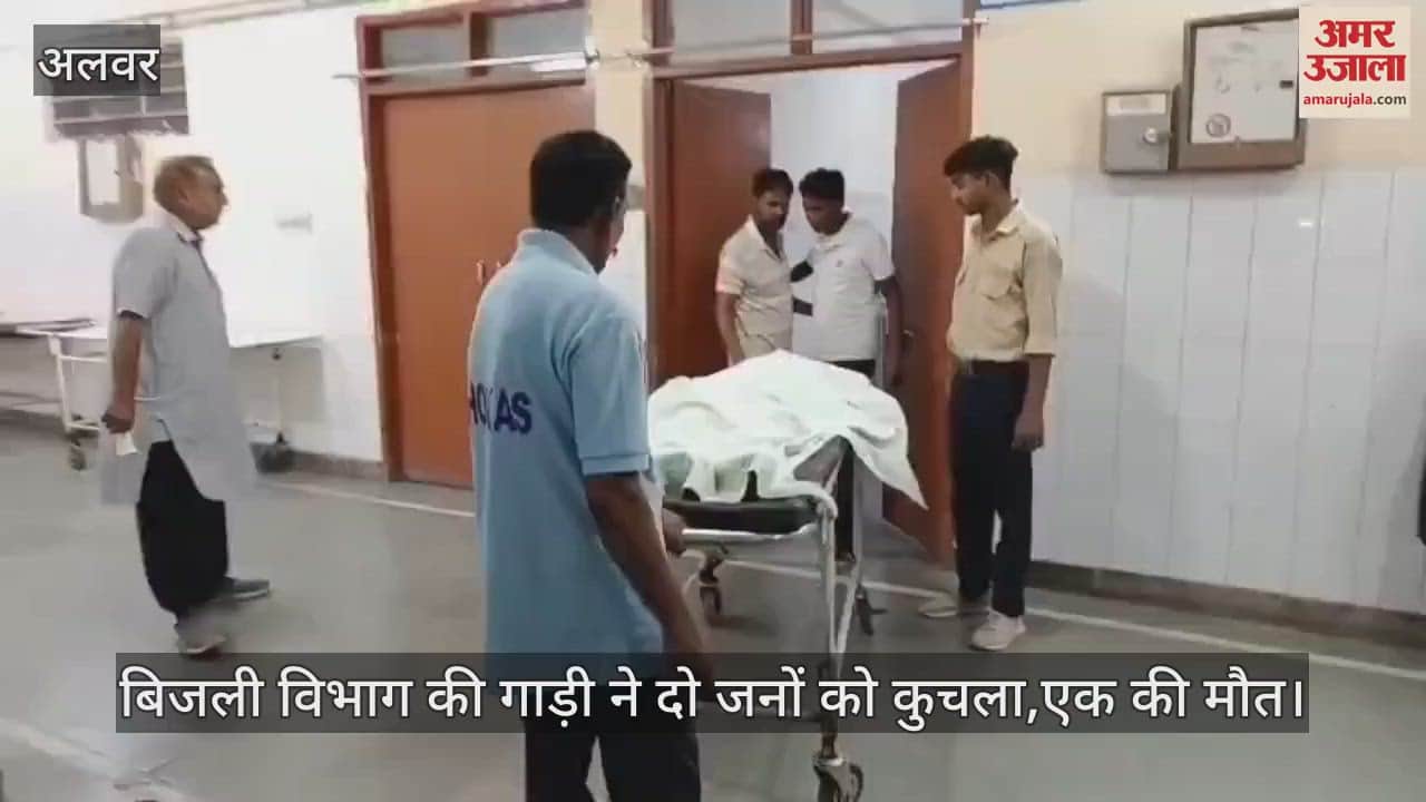 A young man died after being hit by an electricity department vehicle