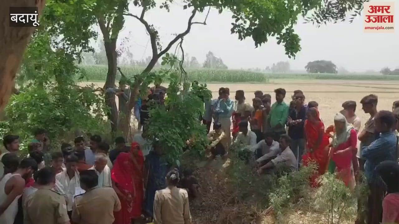 dead body of elderly woman found in ditch
