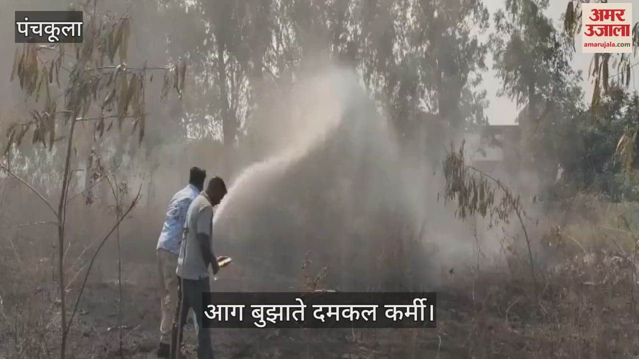 Fire broke out behind govt school in Panchkula