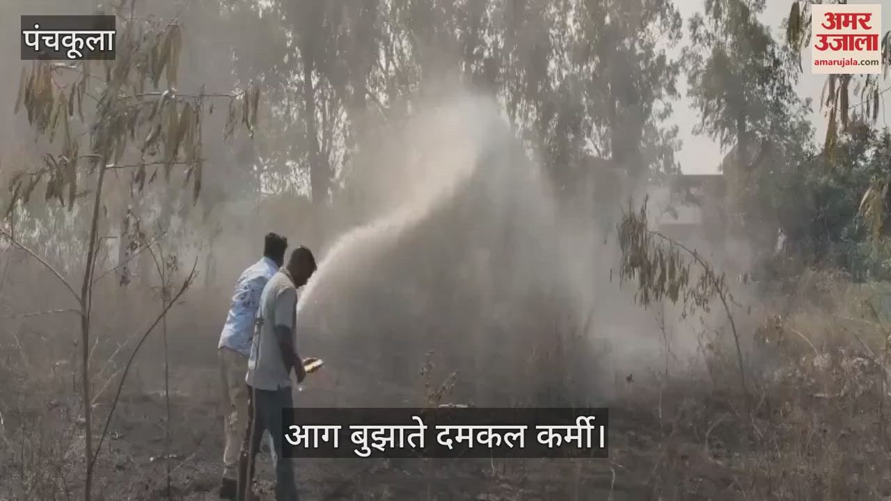 Fire broke out behind govt school in Panchkula