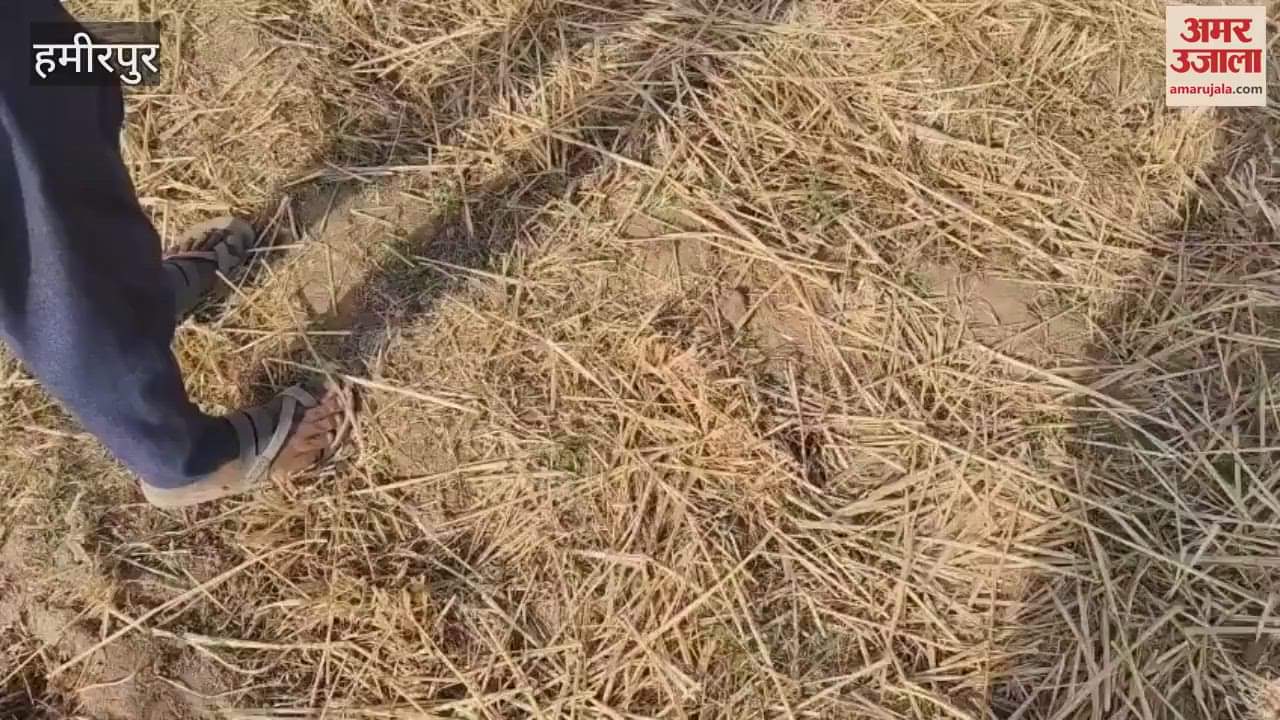 Laborer's body found lying in the field, police engaged in investigation