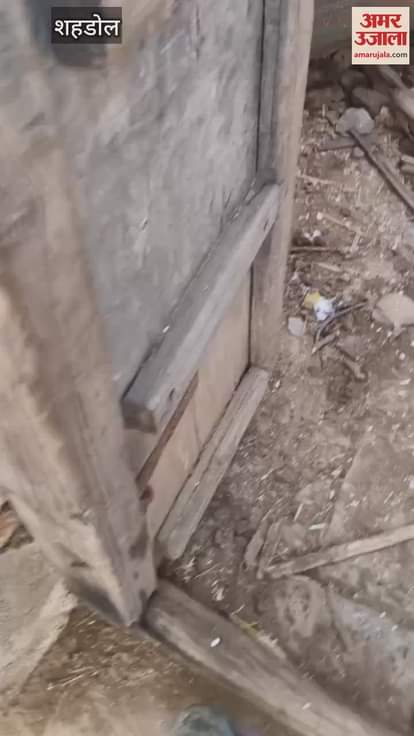 When a bear entered the house and sat down, the family was locked in the room out of fear,