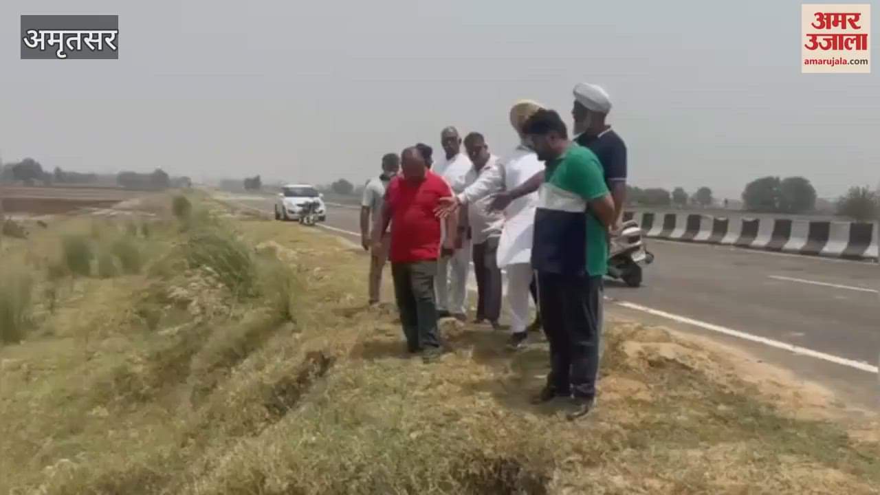 Pieces of cow meat found in the fields in Ajnala