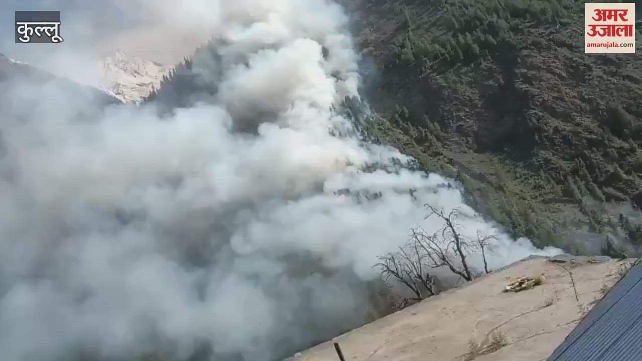 Lahaul Spiti Forest fire near Zholing village forest wealth reduced to ashes