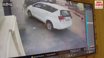 In Panchkula, the accused hit a brick on the head after stopping the dog from defecating outside the house