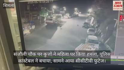 Dogs attacked a woman at Sanjali Chowk, police constable saved her, CCTV footage surfaced