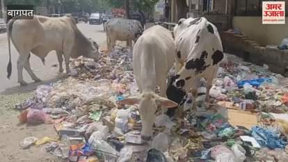 Sanitation workers went on strike in Baghpat, garbage spread in many places