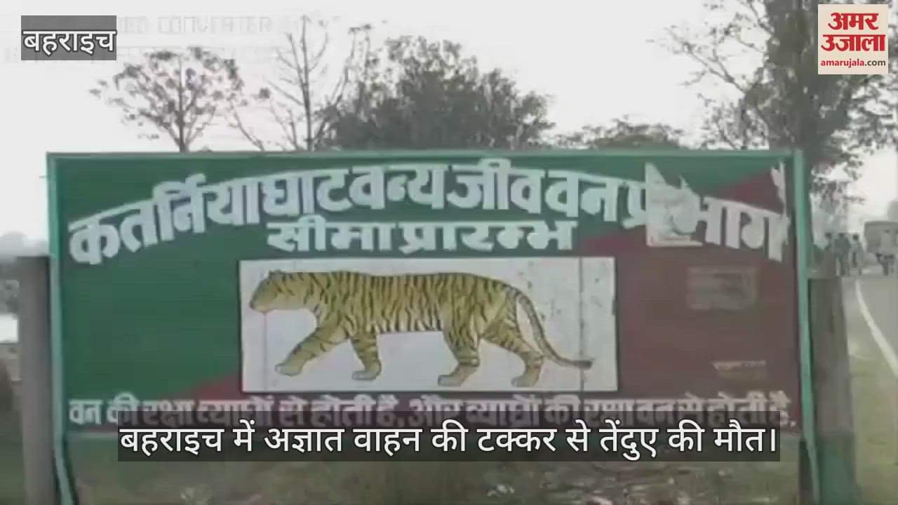 बहराइच में अज्ञात वाहन की टक्कर से तेंदुए की मौत