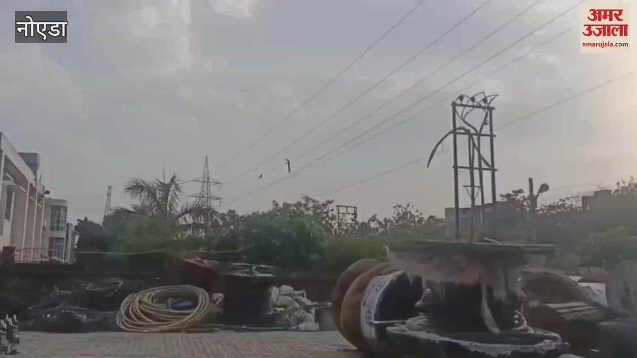 Linemen performed risky task of removing tin sheds on electric wires in Noida