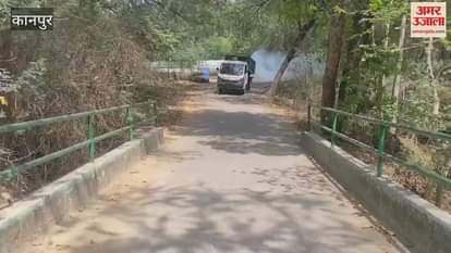 Alert issued in zoo, enclosures being inspected every two hours, sanitization started