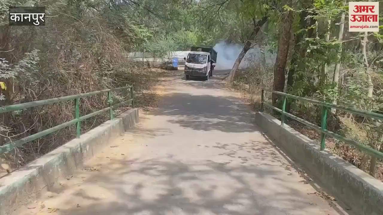 Alert issued in zoo, enclosures being inspected every two hours, sanitization started