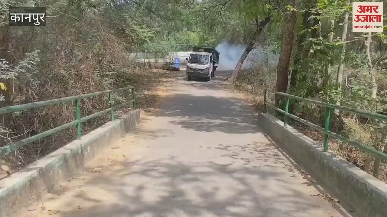 Alert issued in zoo, enclosures being inspected every two hours, sanitization started