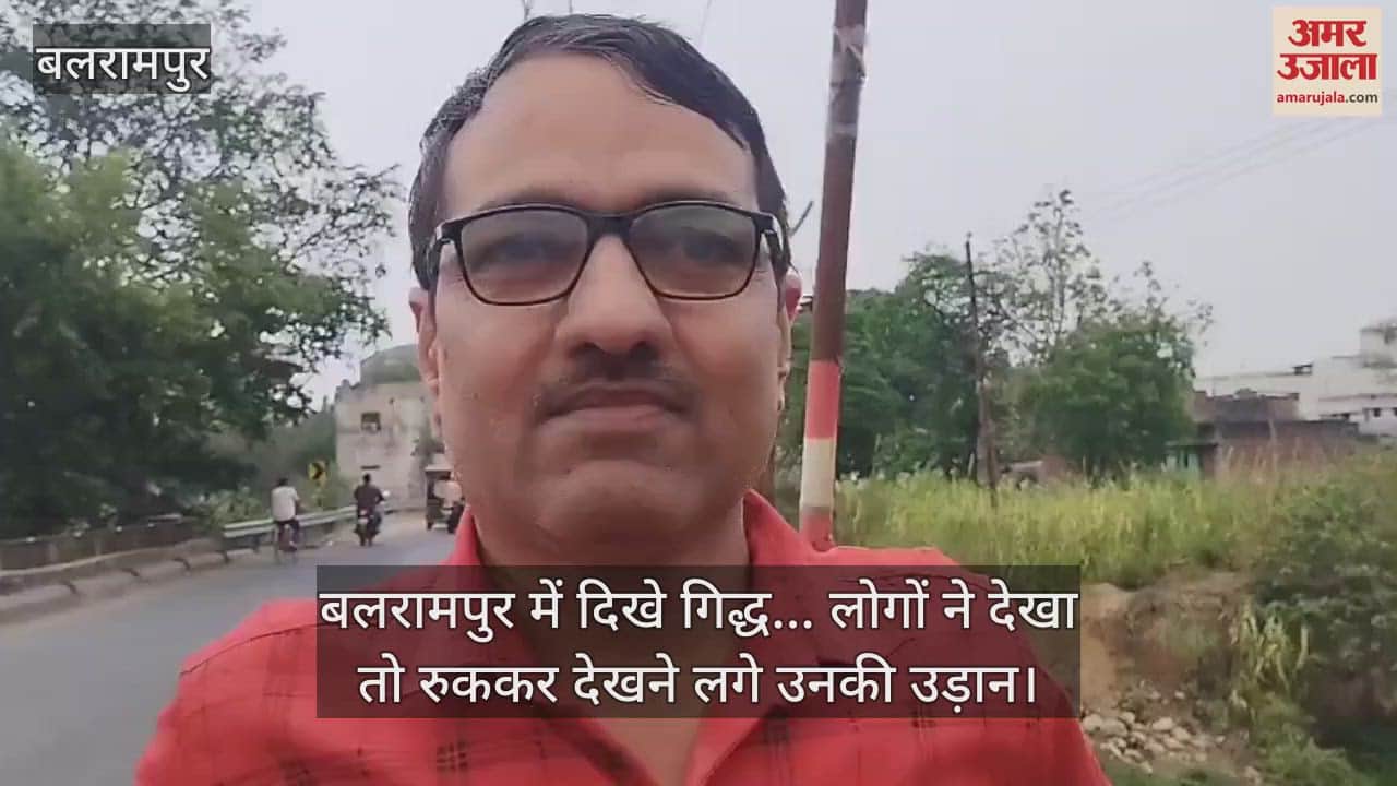 बलरामपुर में दिखे गिद्ध... लोगों ने देखा तो रुककर देखने लगे उनकी उड़ान