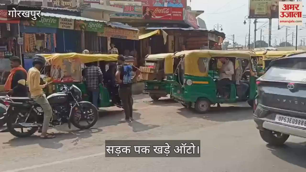 They park their autos on the road and do as they please, the responsible ones are careless