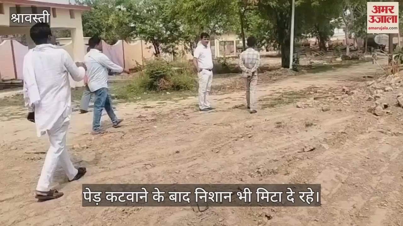 VIDEO: श्रावस्ती: खुद हरियाली के दुश्मन बने जिम्मेदार, मुक्ति धाम से काटे गए आठ वर्ष पुराने पेड़