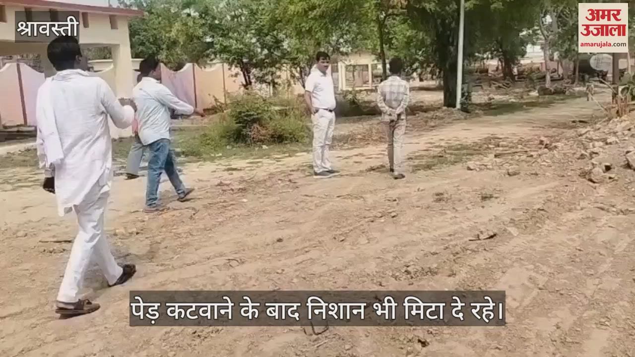 VIDEO: श्रावस्ती: खुद हरियाली के दुश्मन बने जिम्मेदार, मुक्ति धाम से काटे गए आठ वर्ष पुराने पेड़