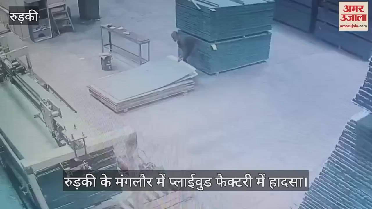 Accident in plywood factory, ply sheet fell on worker, died on the spot