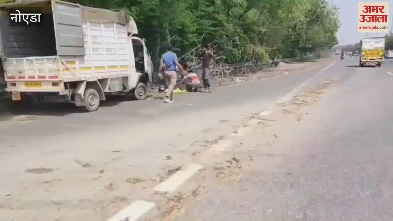 Heavy damage due to storm and rain in Noida, dozens of trees fell
