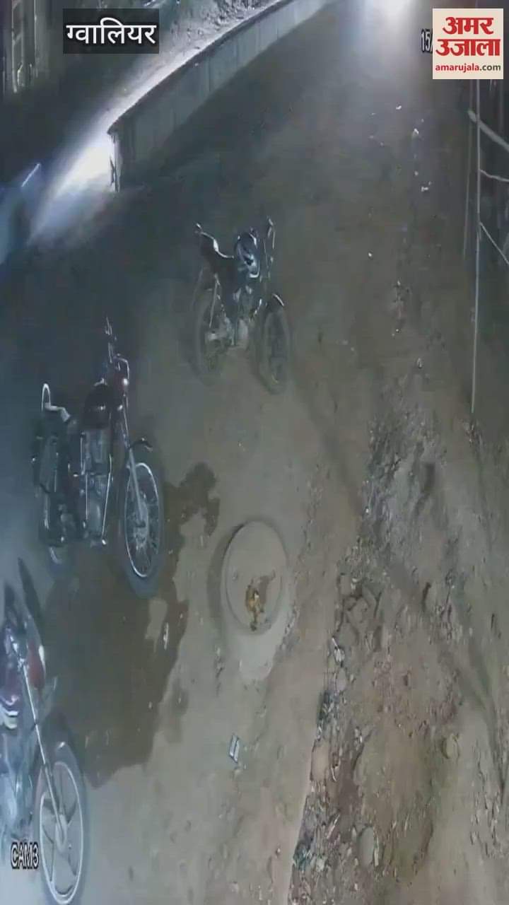 Five miscreants attacked a shopkeeper after he refused to give cigarettes worth Rs 10 on credit