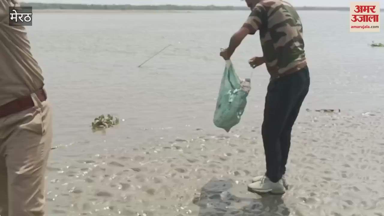 forest department caught the crocodile from the pond, released it in the Ganga in Hastinapur