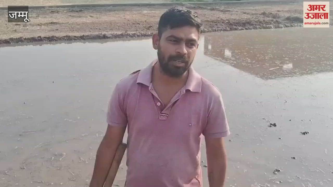 there is a crop of hope in the fields, farmers are preparing for seedlings