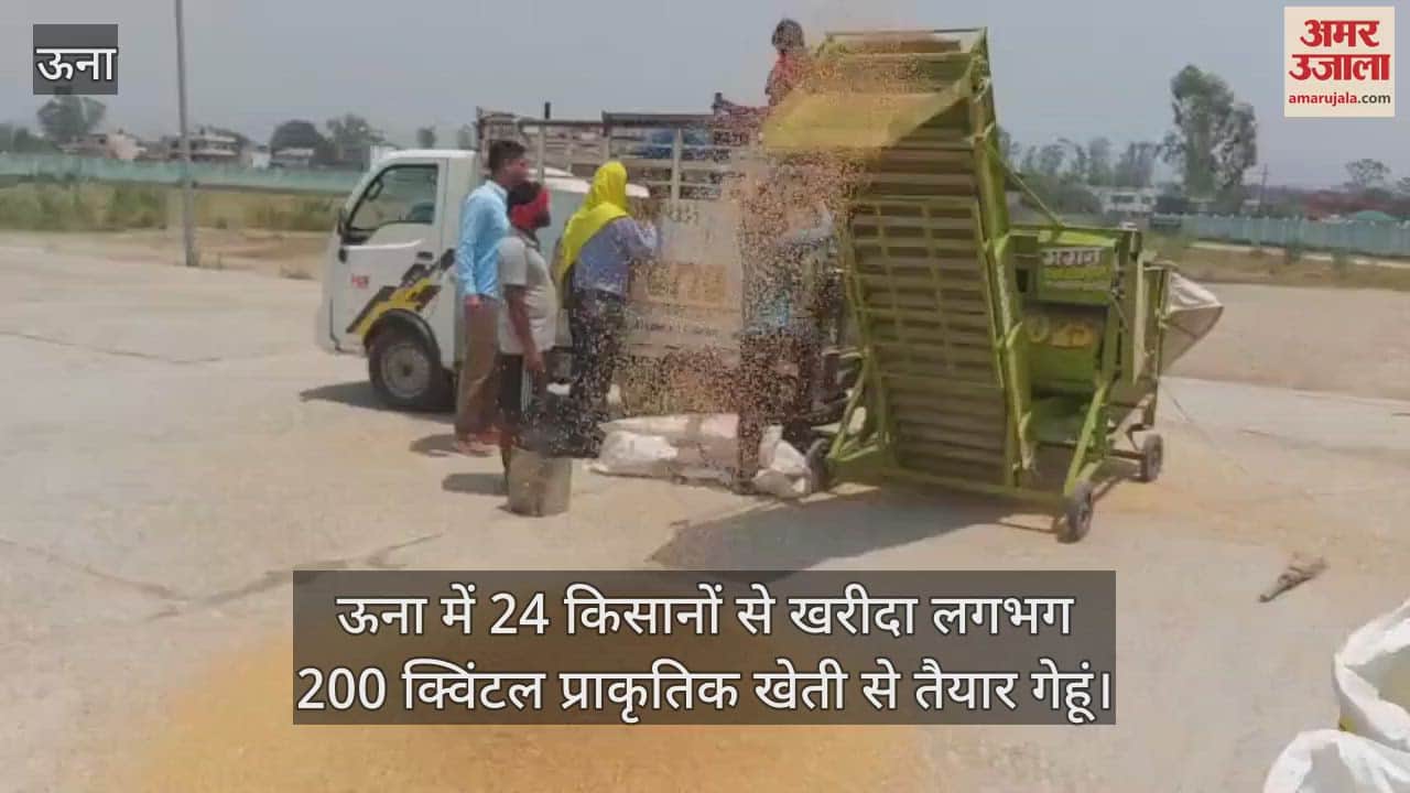 About 200 quintals of wheat prepared through natural farming was purchased from 24 farmers in Una