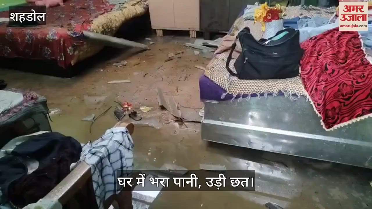 Shahdol News: The roofs of houses flew away in the storm and fell several meters away, woman injured