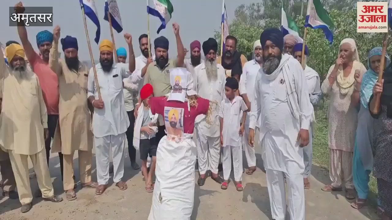 farmers burnt the effigies of Cabinet Minister Lal Jeet Bhullar and Chief Minister Bhagwant