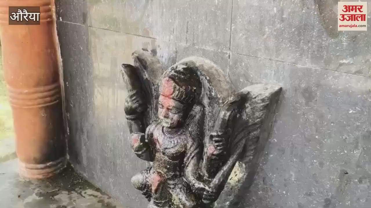 Shani Dev's idol damaged, priest accuses teenager