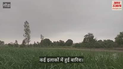 VIDEO: गोंडा में मौसम बदला, आसमान में छाए काले बादल, कई इलाकों में हुई बारिश