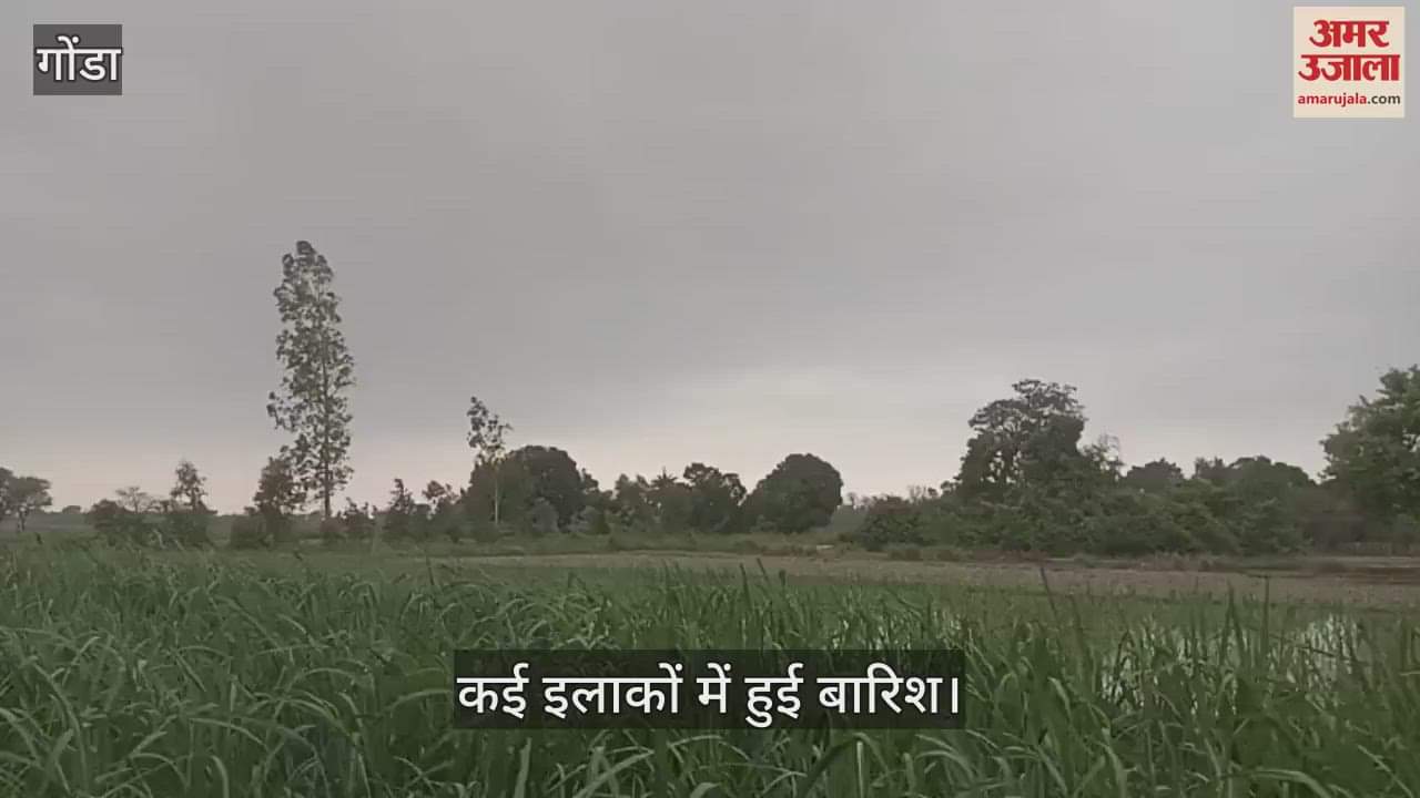 VIDEO: गोंडा में मौसम बदला, आसमान में छाए काले बादल, कई इलाकों में हुई बारिश