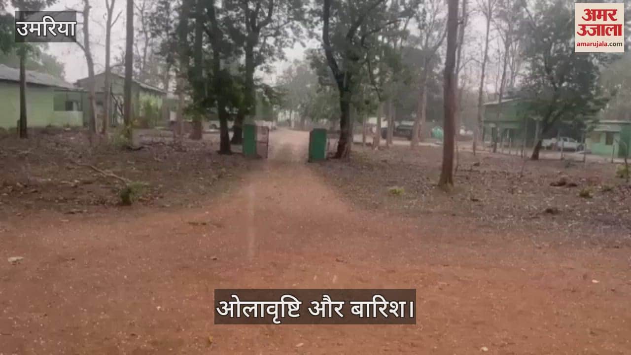 In Umaria district, the weather changed its mood amidst the scorching heat