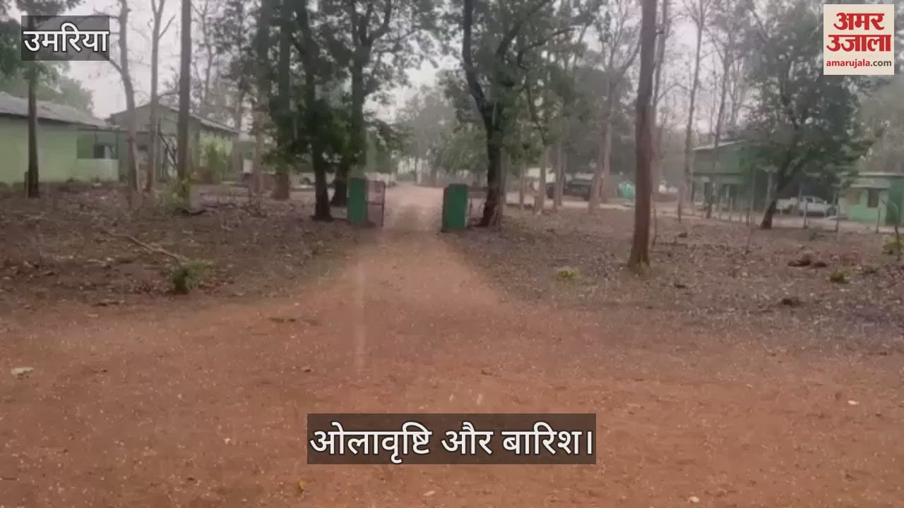 In Umaria district, the weather changed its mood amidst the scorching heat