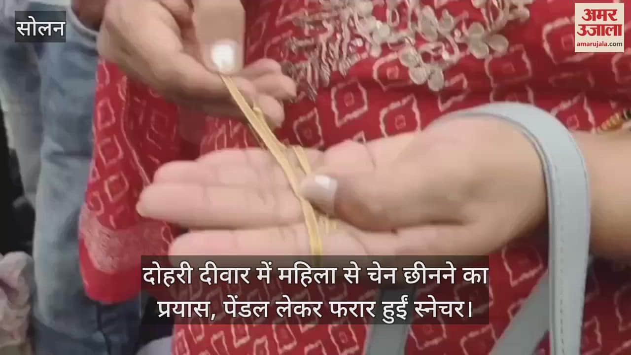 Attempt to snatch chain from woman behind double wall, snatcher escaped with pendant