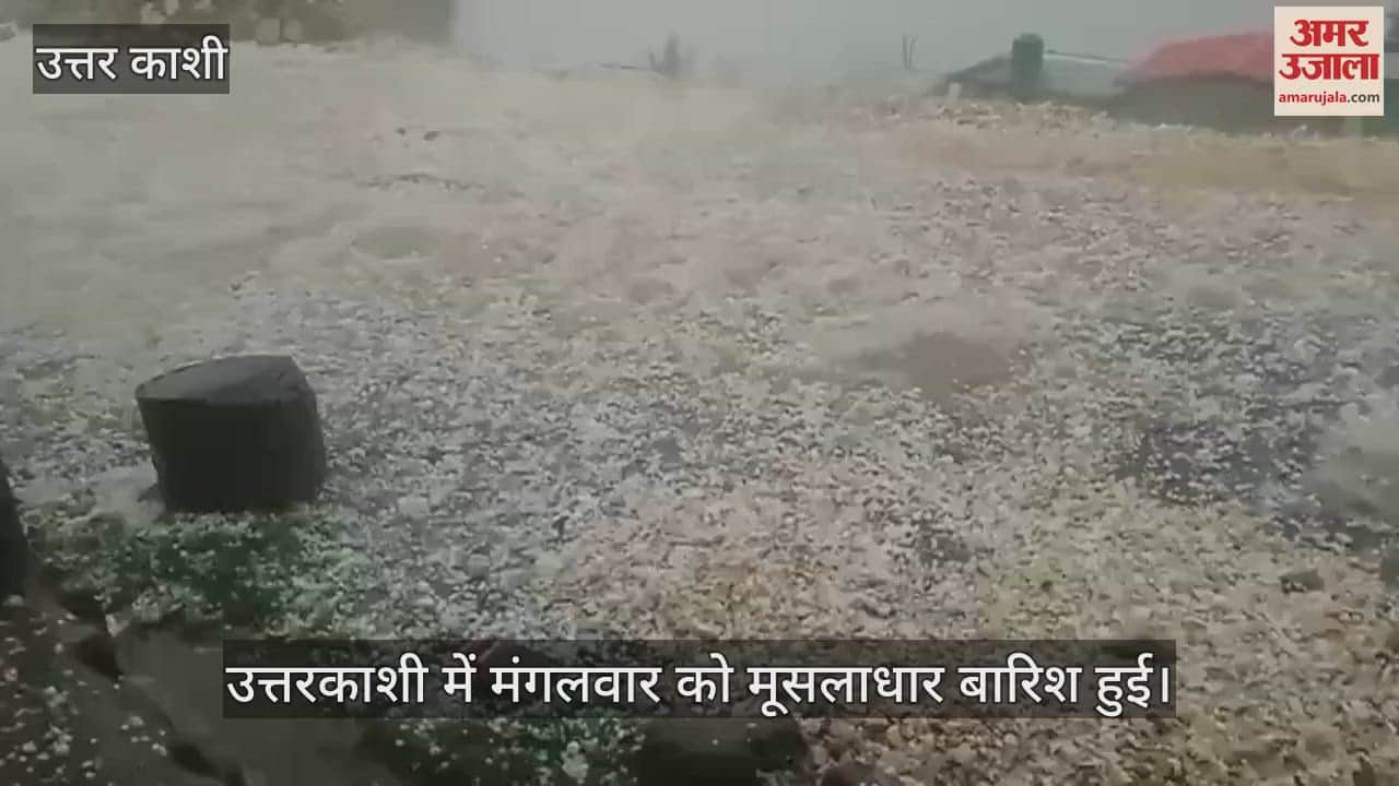 Rain and hailstorm in Uttarkashi crops damaged Uttarakhand News
