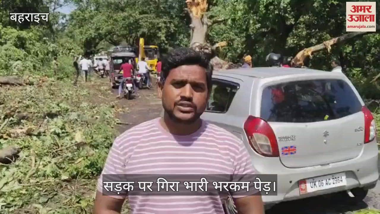 Bahraich: बिछिया-सुजौली मार्ग पर सड़क पर गिरा भारी भरकम पेड़, घंटों जंगल में फंसे रहे यात्री