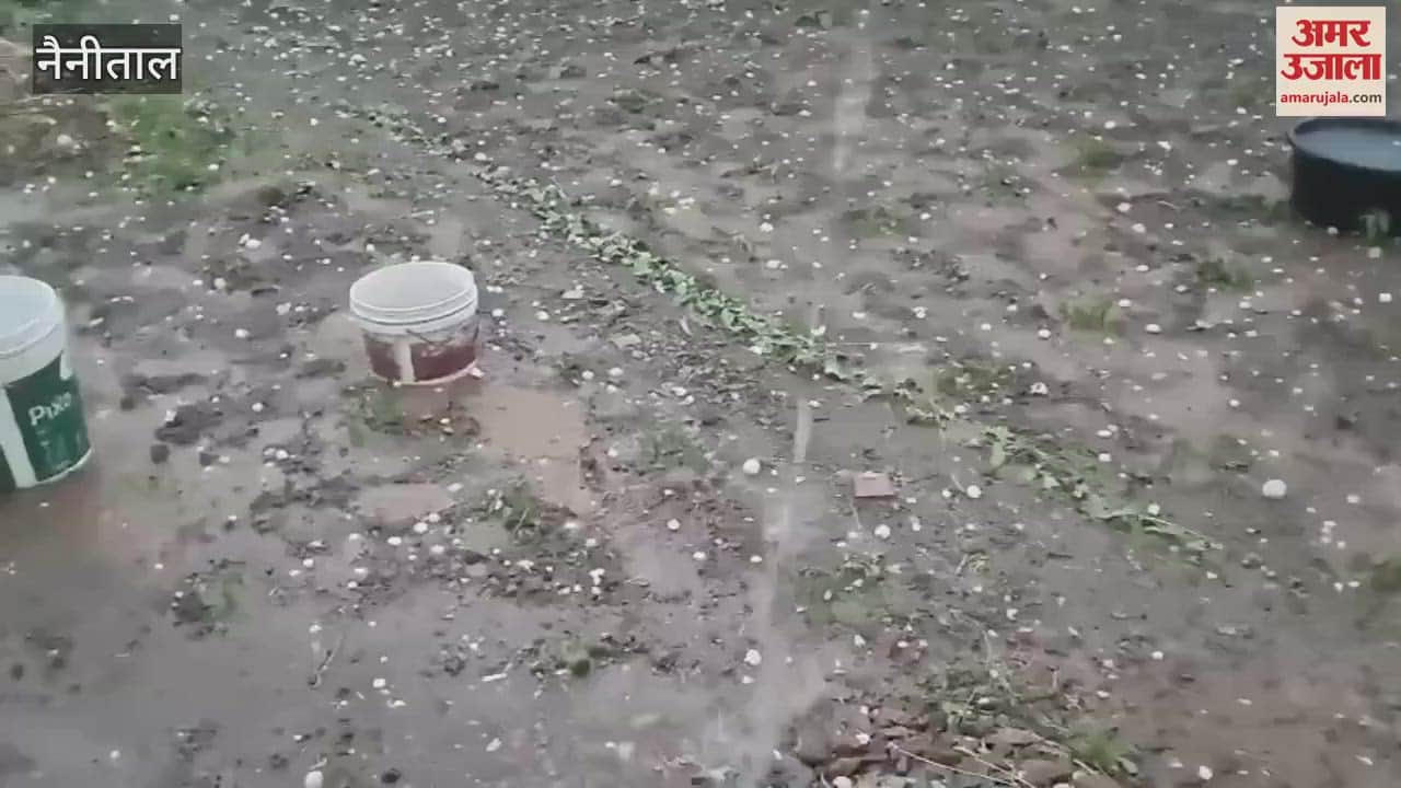 Farmers suffer heavy losses due to hailstorm in Bhimtal
