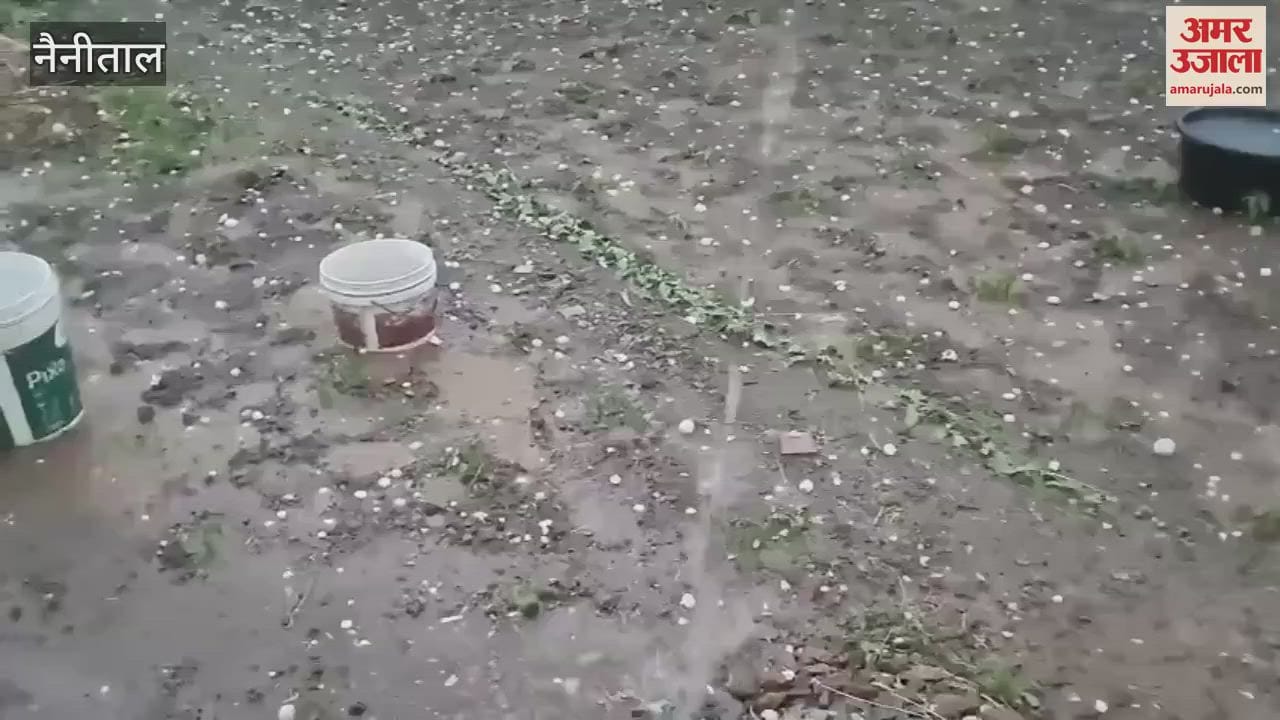 Farmers suffer heavy losses due to hailstorm in Bhimtal