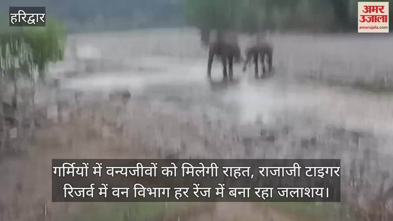 Rajaji Tiger Reserve Wildlife will get relief in summer, forest department is making reservoirs in every range