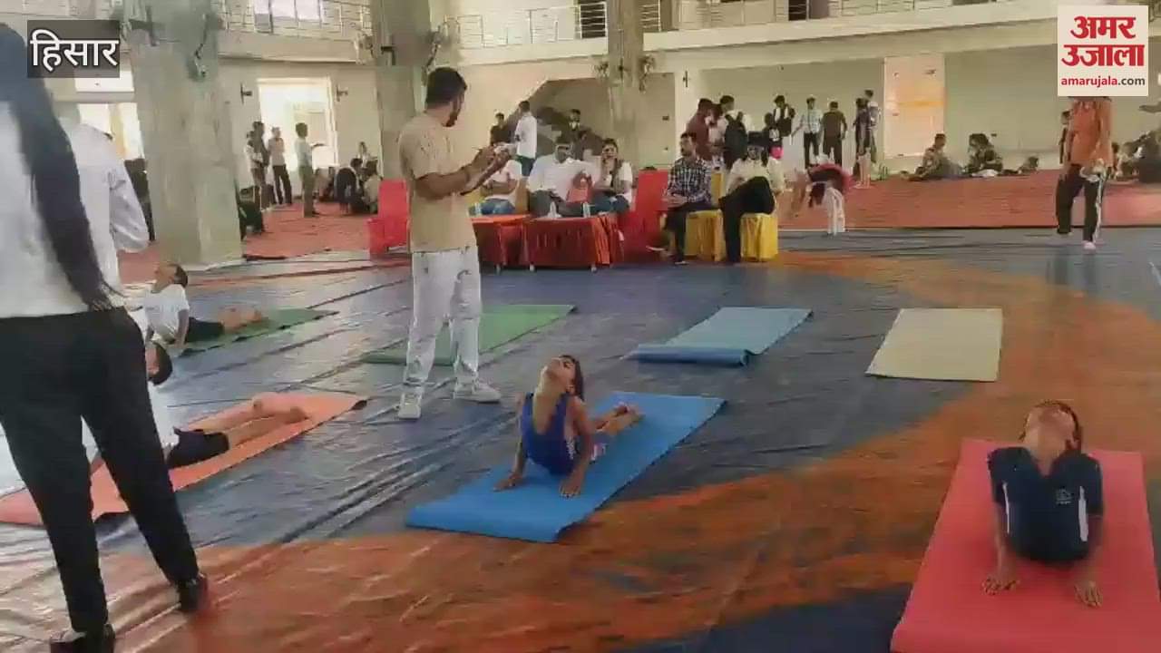 More than 200 players from across the state displayed their skills in the state level yoga championship held in Hisar