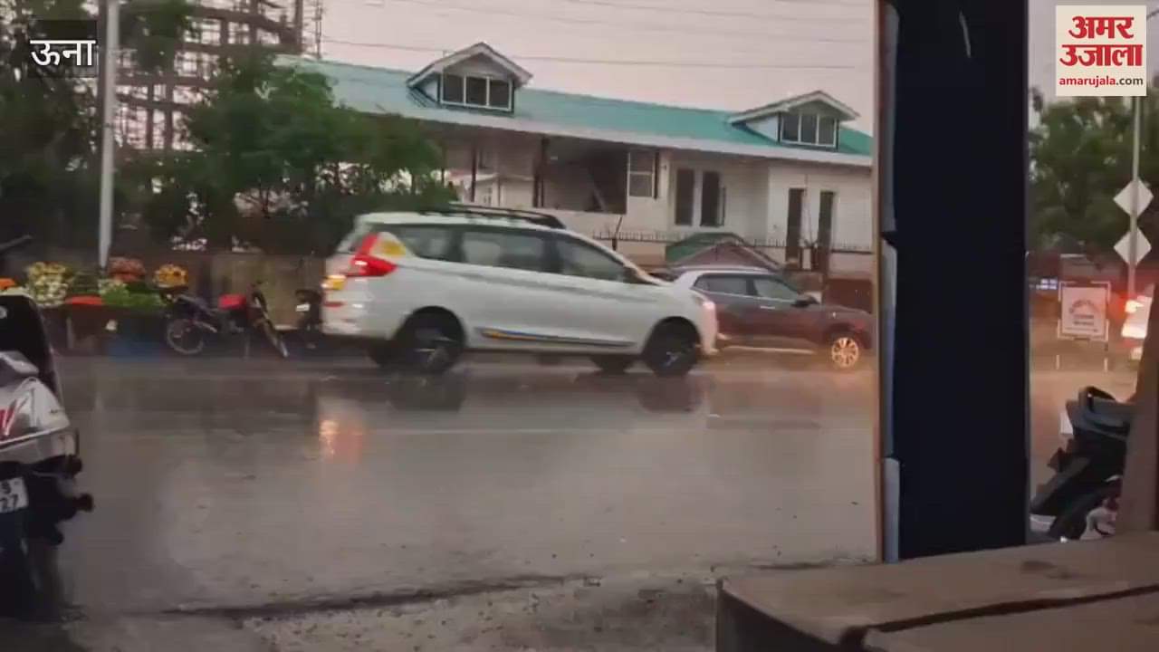 Una Heavy rain in the Terai areas of subdivision Amb since around four o'clock in the evening