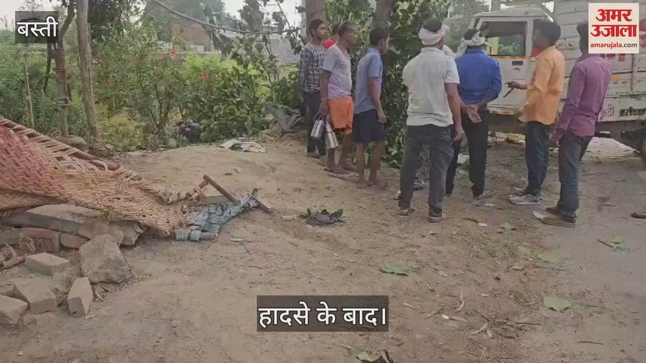 Pickup collided with a tree on Ram Janaki Marg. Plumber died, one injured