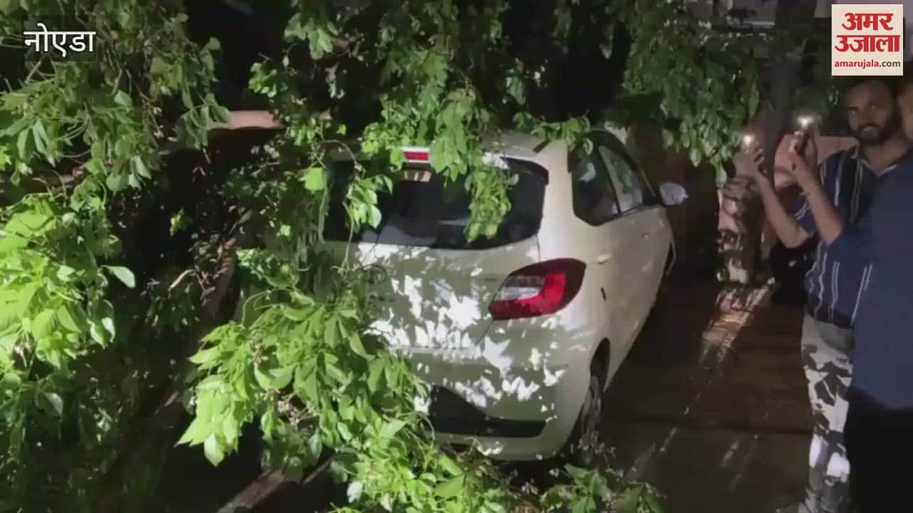Two vehicles were damaged due to falling of tree