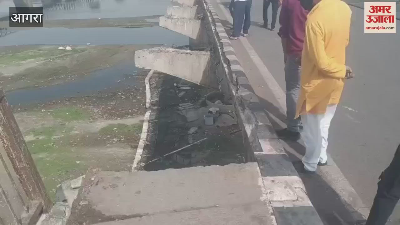 storm caused havoc mesh of Ambedkar bridge fell years old trees were uprooted stone hut built in park fell down
