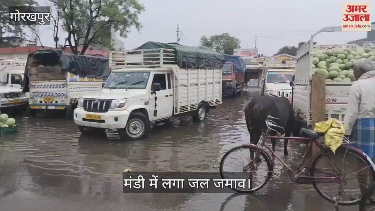 Waterlogging in Transport Nagar Mandi due to rain, increased problems