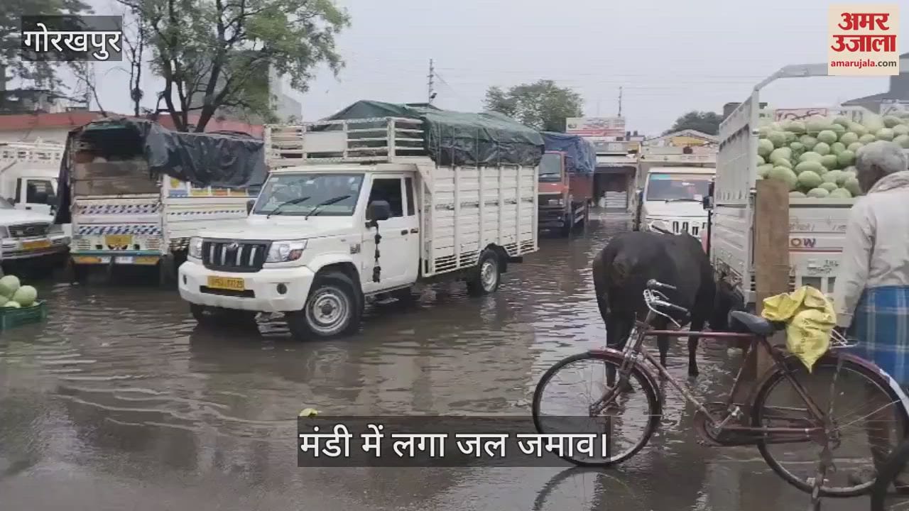 Waterlogging in Transport Nagar Mandi due to rain, increased problems