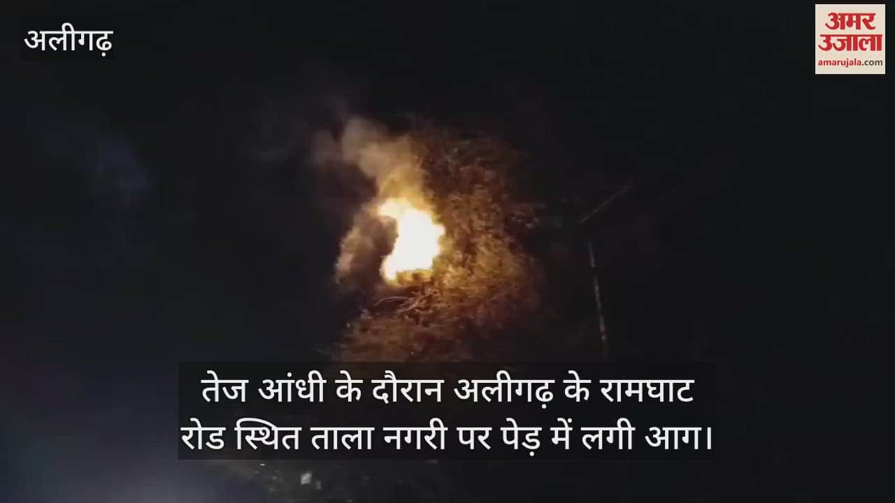 तेज आंधी के दौरान अलीगढ़ के रामघाट रोड स्थित ताला नगरी पर पेड़ में लगी आग