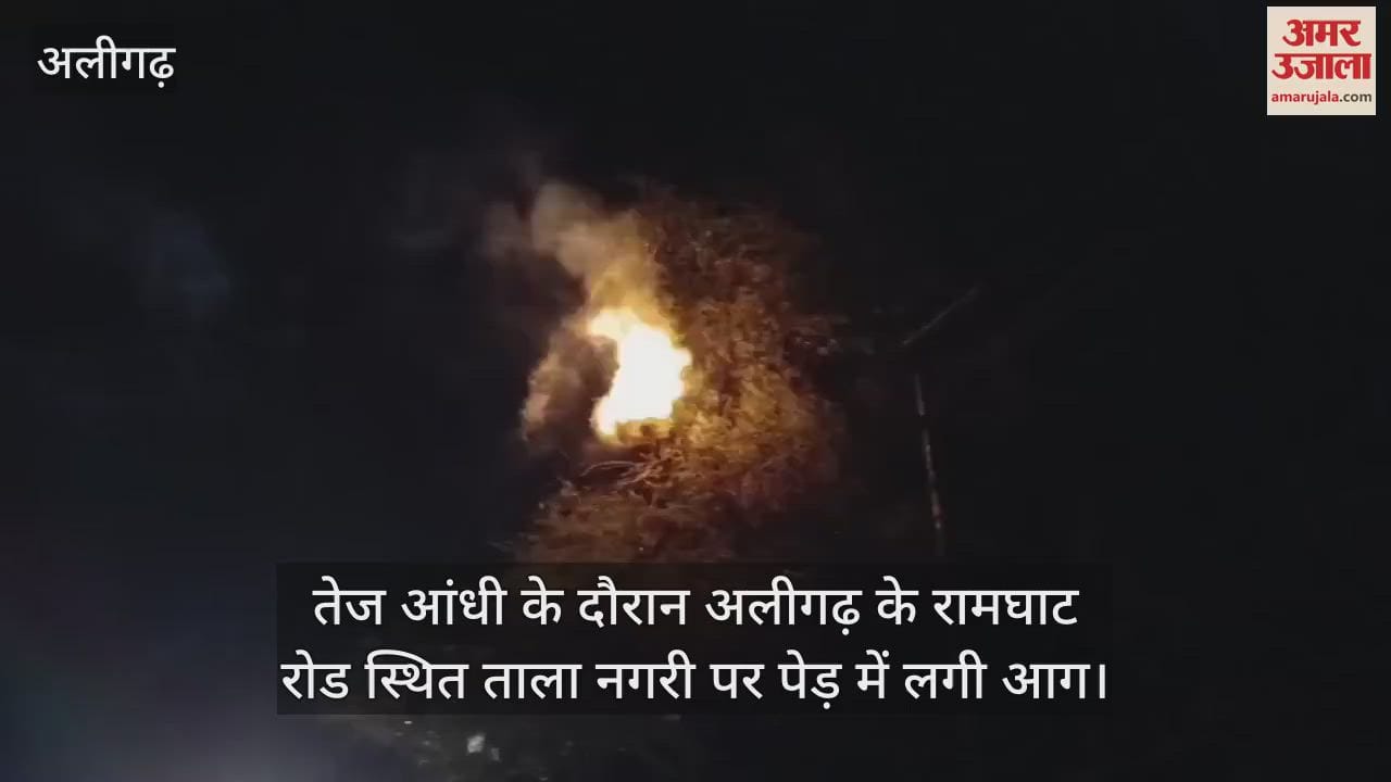 तेज आंधी के दौरान अलीगढ़ के रामघाट रोड स्थित ताला नगरी पर पेड़ में लगी आग