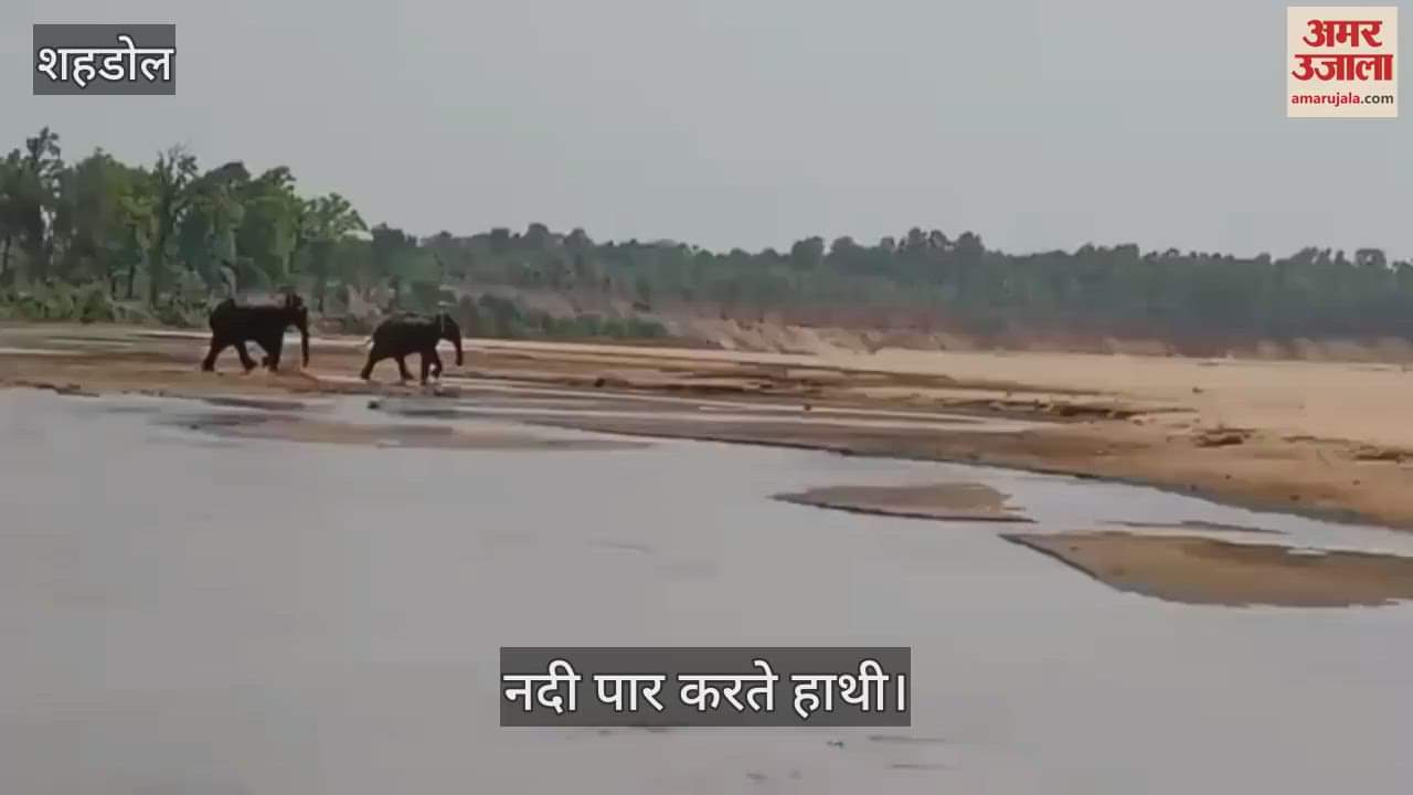 Wild elephants killed three people in two and a half hours, left after staying for 4 hours