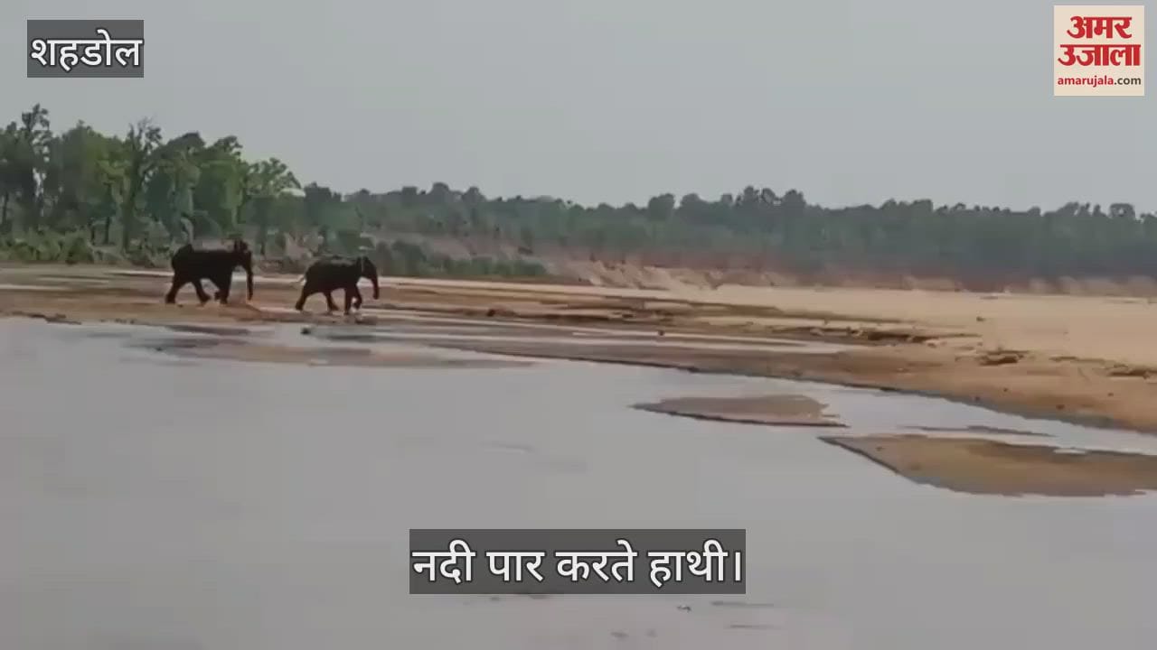 Wild elephants killed three people in two and a half hours, left after staying for 4 hours